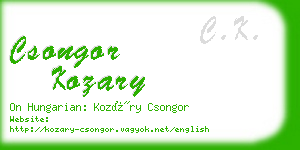 csongor kozary business card